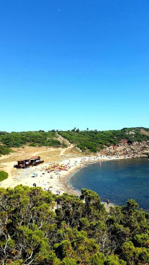 Agriturismo Porticciolo Порто Конте Екстериор снимка